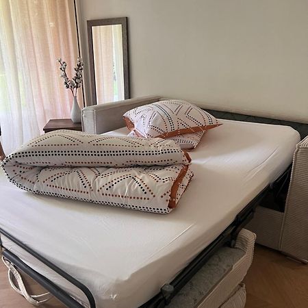 La Perle Du Parc - Studio Rocquencourt Экстерьер фото